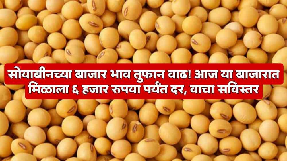 Soybean Bajar Bhav